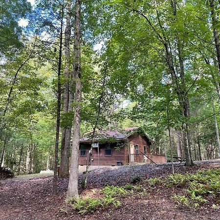 Private Cozy Cabin In The Woods With Great View Murphy Kültér fotó