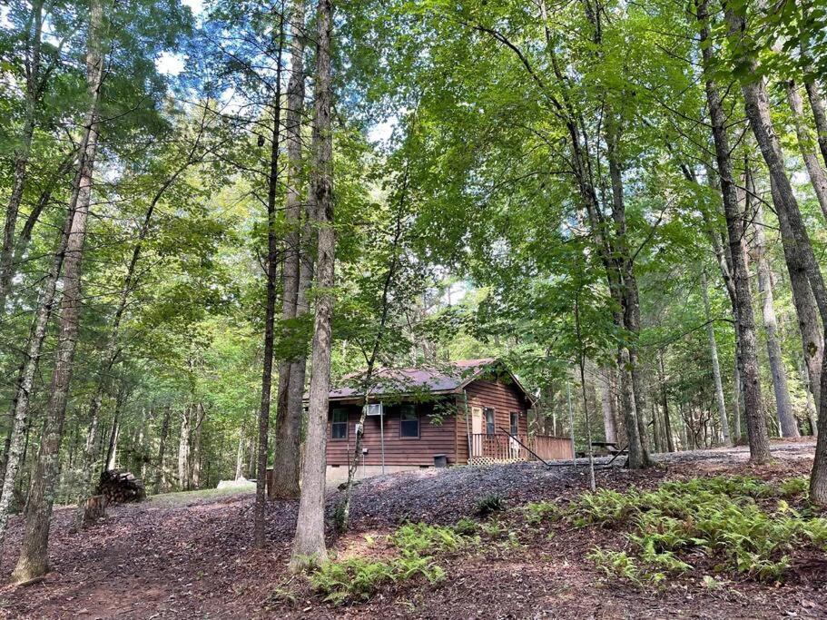 Private Cozy Cabin In The Woods With Great View Murphy Kültér fotó
